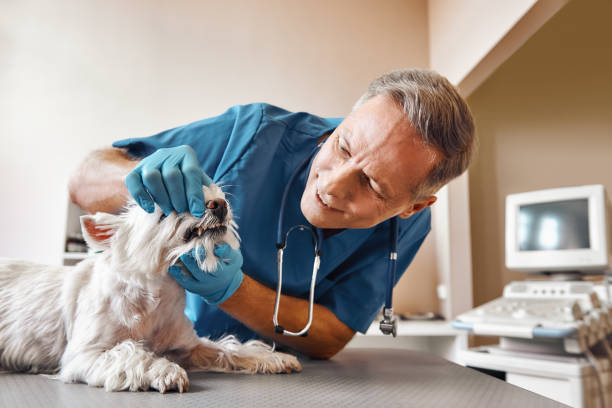 Best Emergency Wisdom Teeth Removal in Kearny, NJ